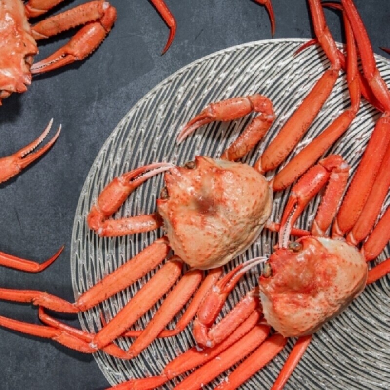 홍게,붉은대게,대게,러시아대게,홍게다리,국물용홍게,속초홍게,국내산홍게,국산홍게,국산,국내산,자숙홍게